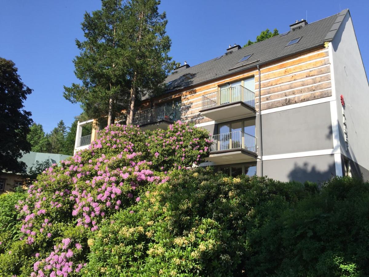Apartament Grafitowy Willa Laser Szklarska Poręba Zewnętrze zdjęcie