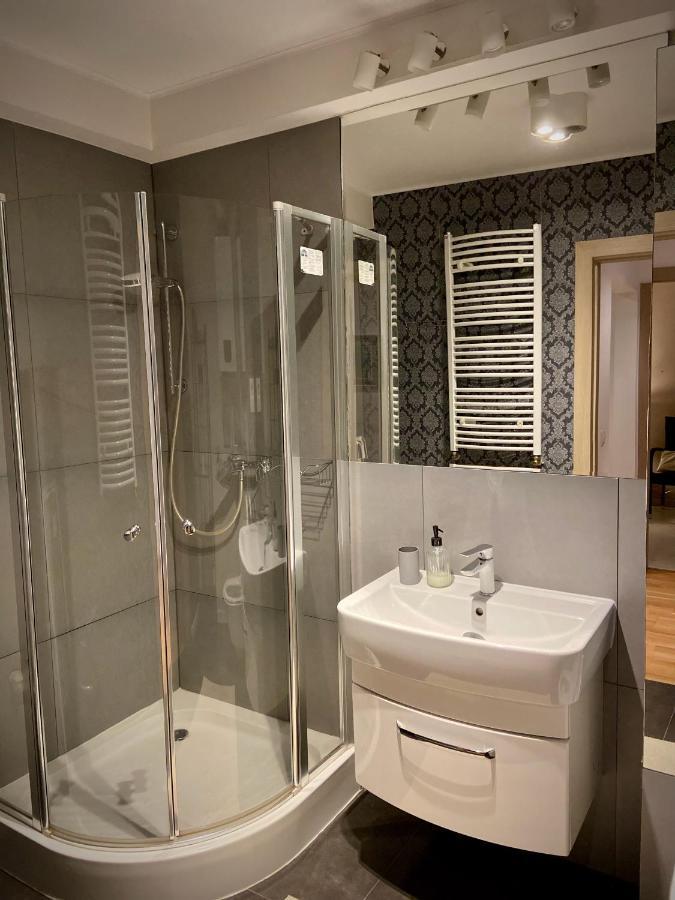 Apartament Grafitowy Willa Laser Szklarska Poręba Zewnętrze zdjęcie