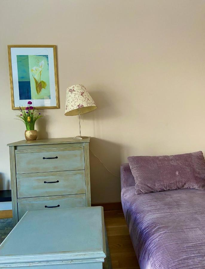 Apartament Grafitowy Willa Laser Szklarska Poręba Zewnętrze zdjęcie